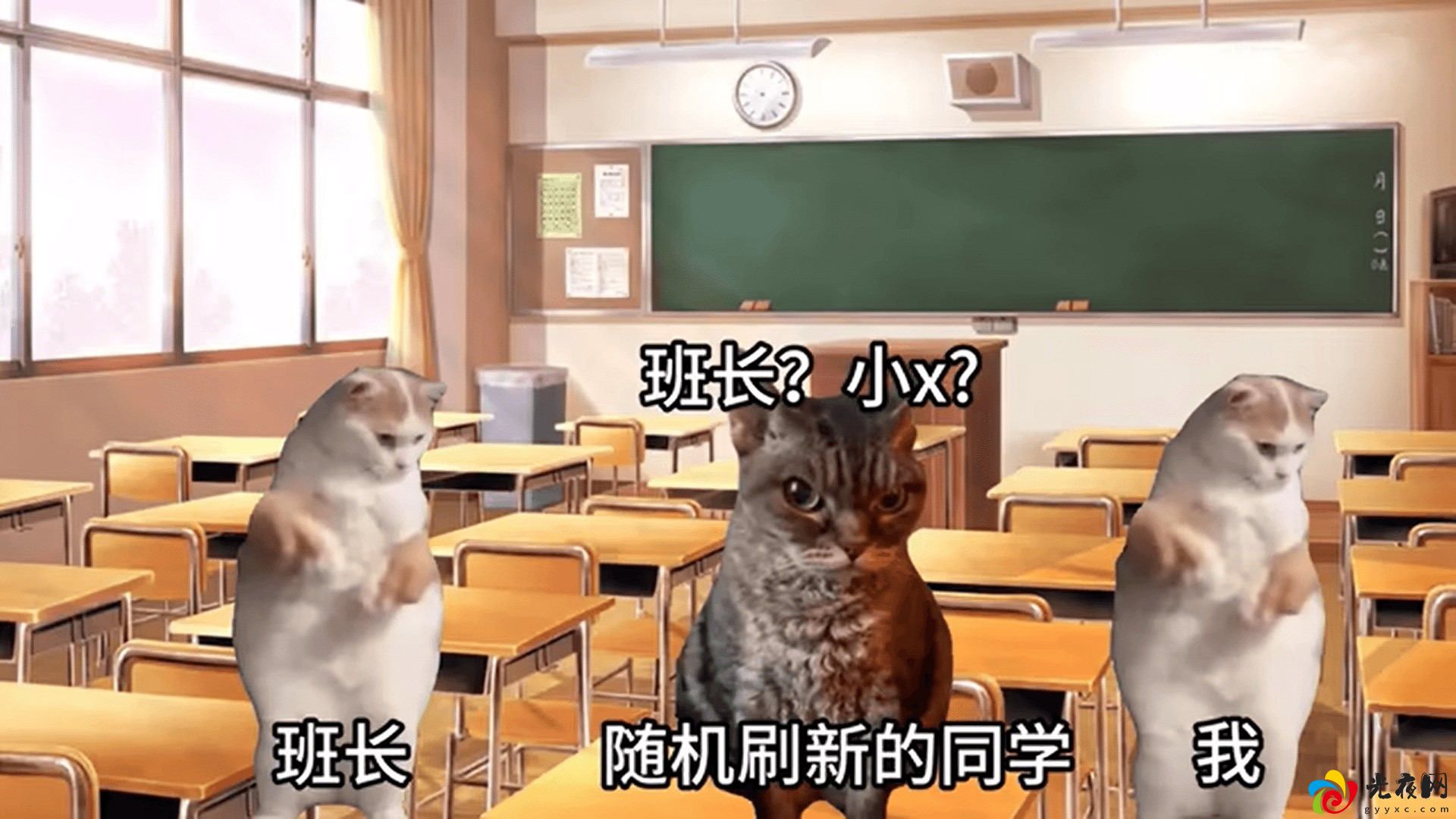 恐怖猫猫惊魂_图2